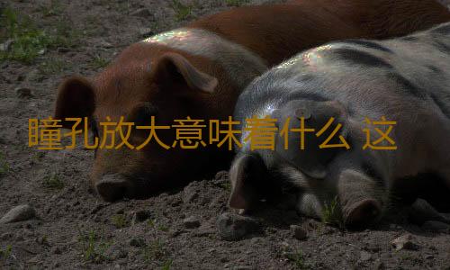 瞳孔放大意味着什么 这些因素导致瞳孔放大