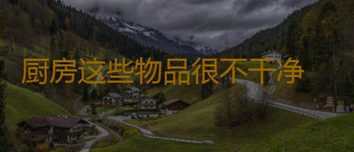 厨房这些物品很不干净 你可能会忽视了