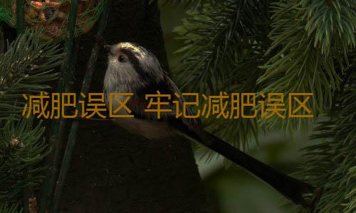 减肥误区 牢记减肥误区让您健康减肥
