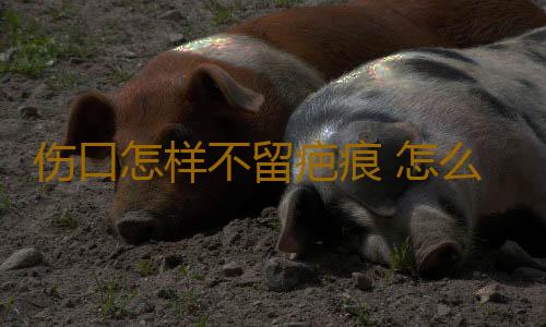 伤口怎样不留疤痕 怎么让伤口不留疤痕