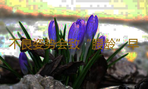 不良姿势会致“腰龄”早衰 怎么防止腰早衰