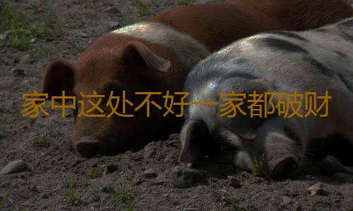 家中这处不好一家都破财