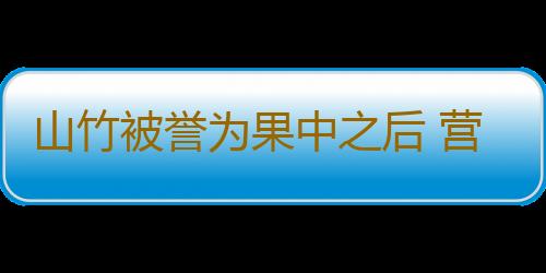 山竹被誉为果中之后 营养丰富抗氧化作用超强