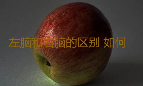 左脑和右脑的区别 如何开发大脑